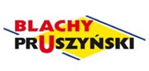 Partnerzy PRO100 - Pruszynski